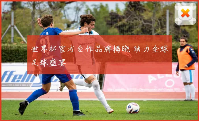 世界杯官方合作品牌揭晓 助力全球足球盛宴