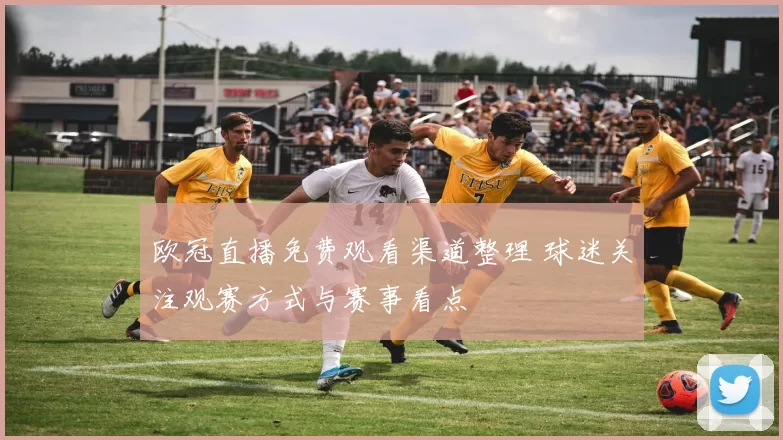 欧冠直播免费观看渠道整理 球迷关注观赛方式与赛事看点