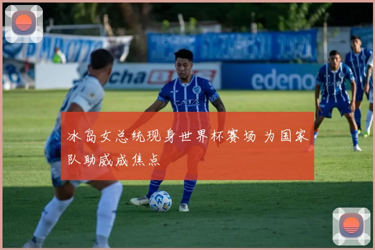 冰岛女总统现身世界杯赛场 为国家队助威成焦点