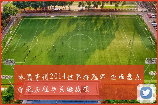 冰岛夺得2014世界杯冠军 全面盘点夺冠历程与关键战役