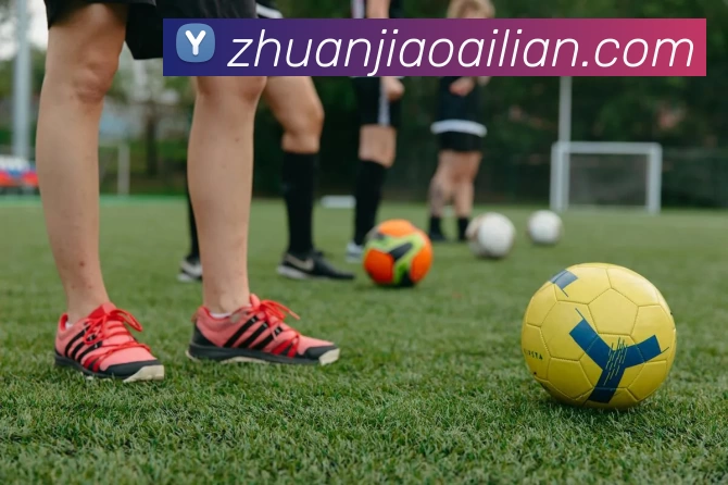 MK体育(中国)官方网站 - MK SPORTS服务体系